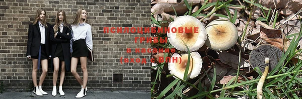 бутират Краснотурьинск