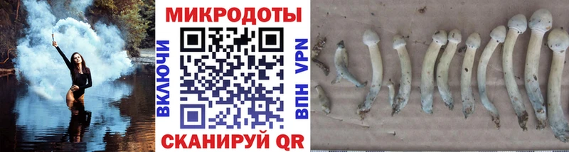 Галлюциногенные грибы Magic Shrooms Дальнереченск